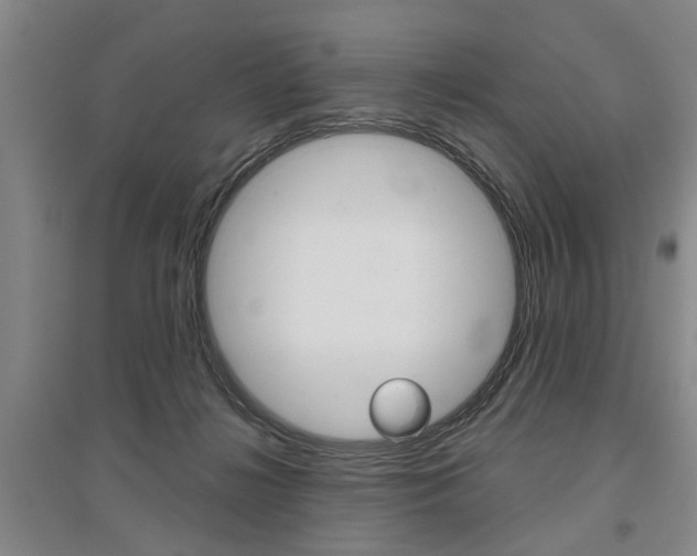 X0000095920268200801110901