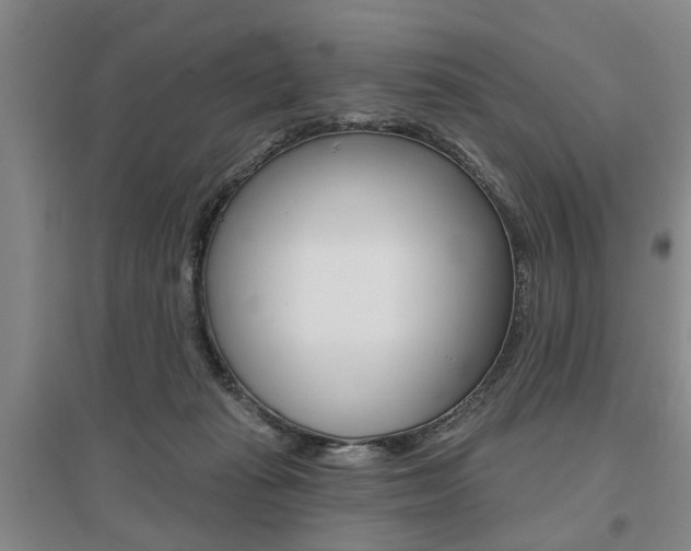 X0000095920269200801110901