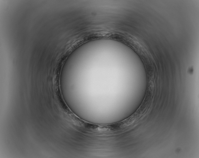 X0000095920270200801110901