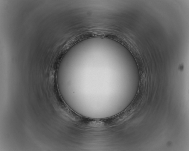 X0000095920271200801110901
