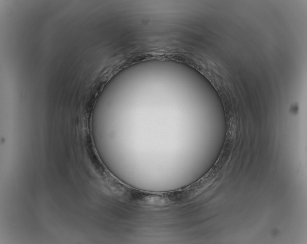 X0000095920272200801110901