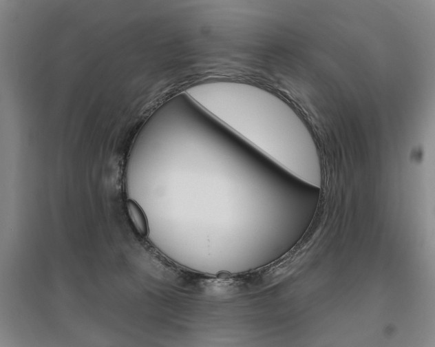 X0000095920273200801110901