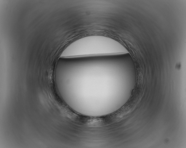 X0000095920274200801110902