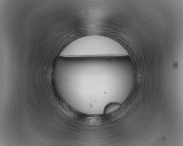 X0000095920275200801110902