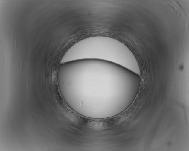 X0000095920276200801110902