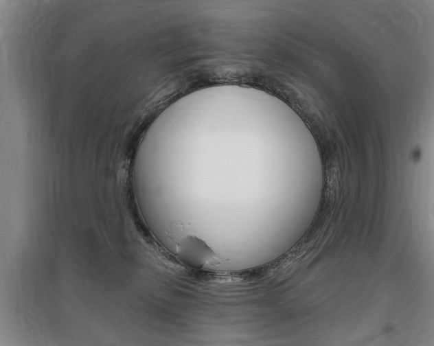 X0000095920278200801110902