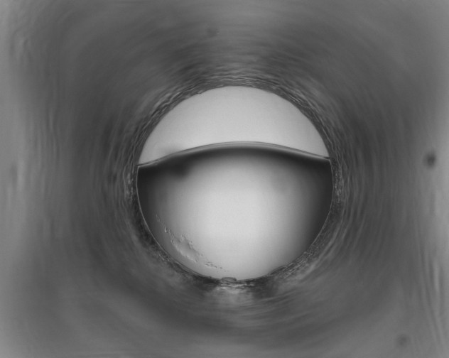 X0000095920280200801110902