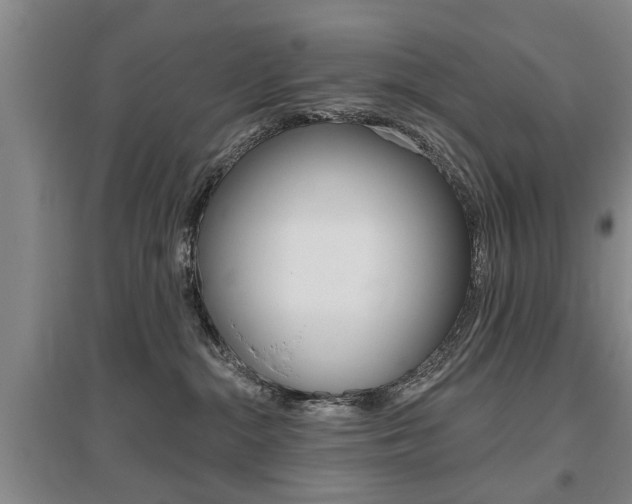 X0000095920284200801110902
