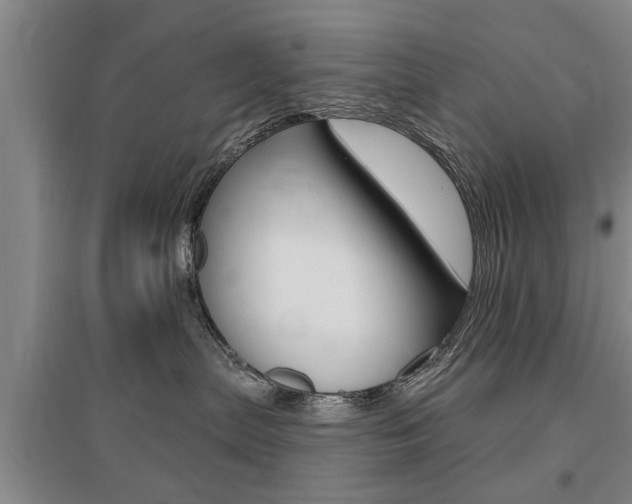 X0000095920287200801110902