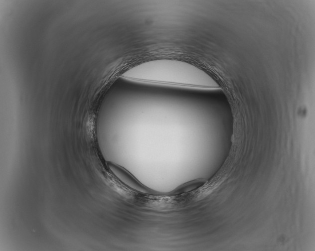 X0000095920288200801110902