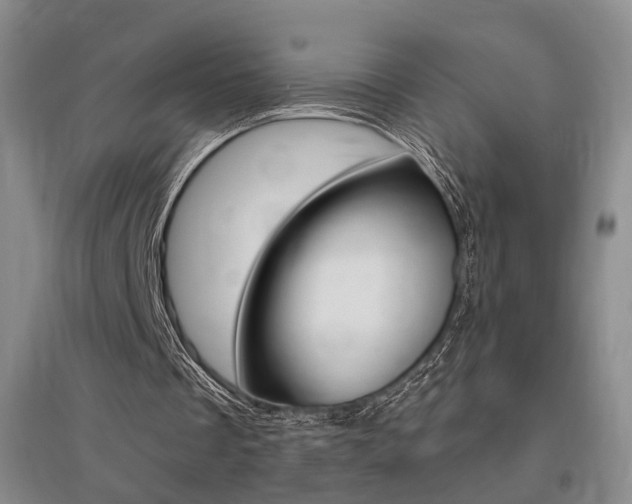 X0000095920289200801110901