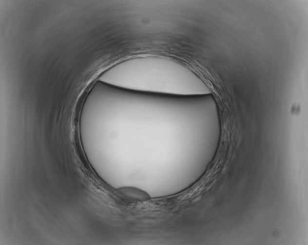 X0000095920290200801110901