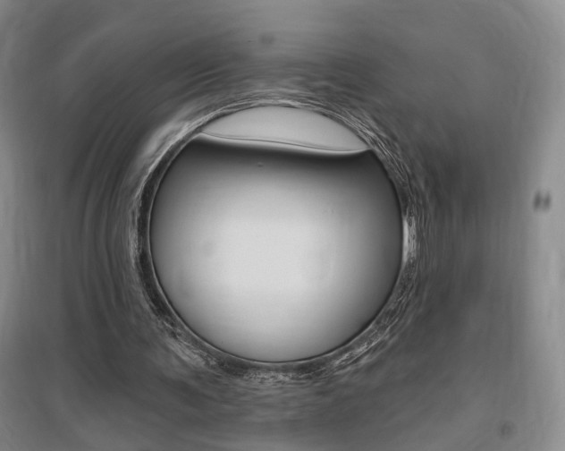 X0000095920291200801110901