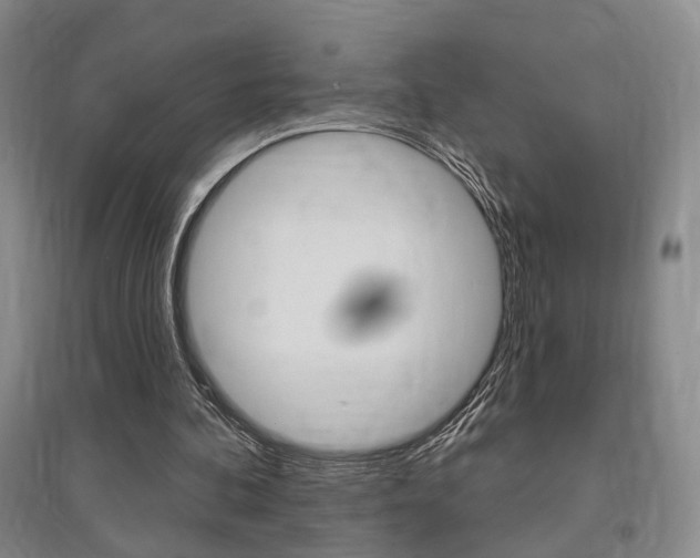 X0000095920292200801110901