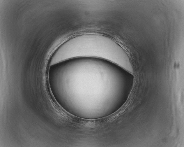 X0000095920293200801110901
