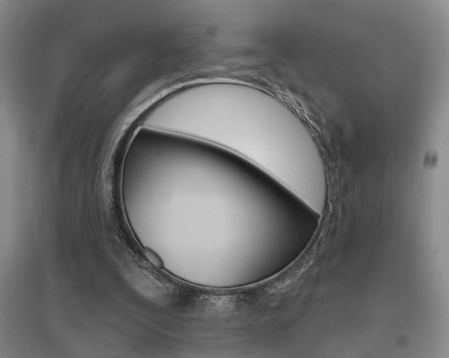 X0000095920295200801110901