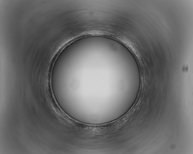 X0000095920297200801110901