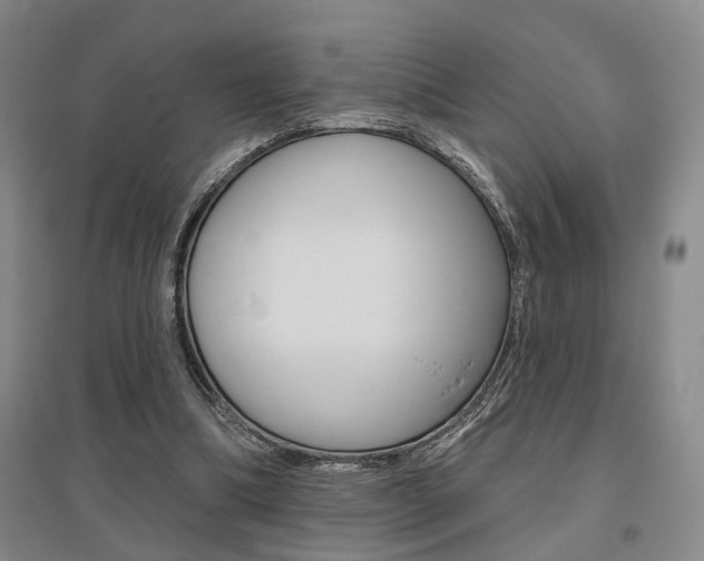 X0000095920298200801110901