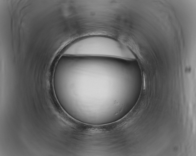 X0000095920300200801110901