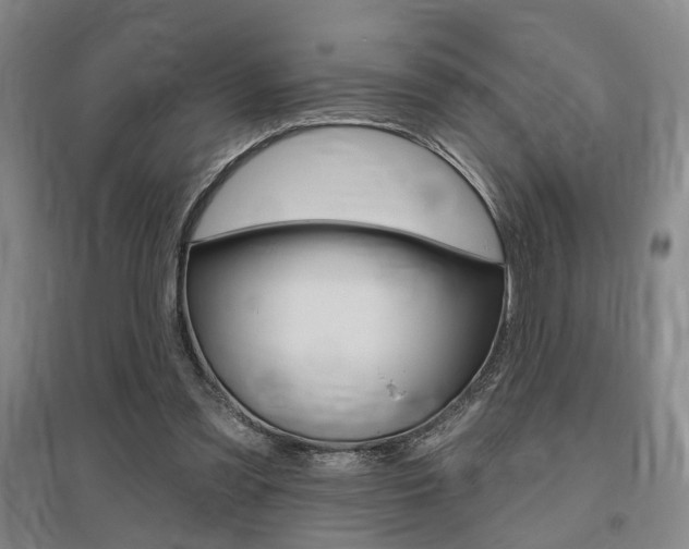 X0000095920301200801110901