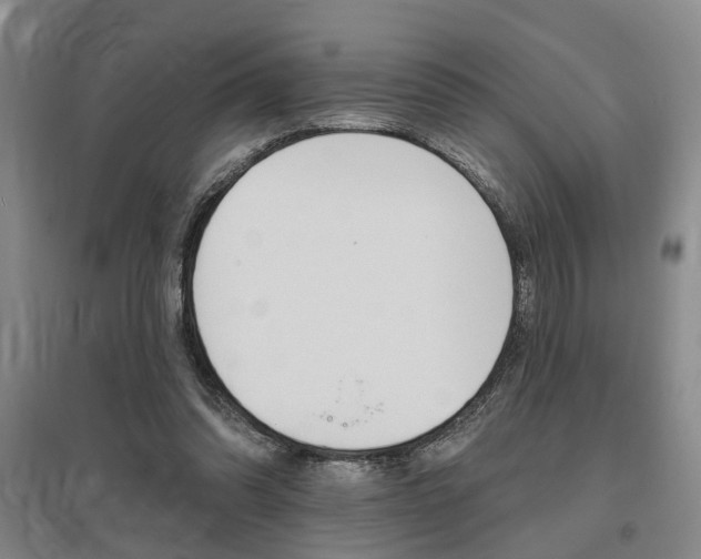 X0000095920302200801110901