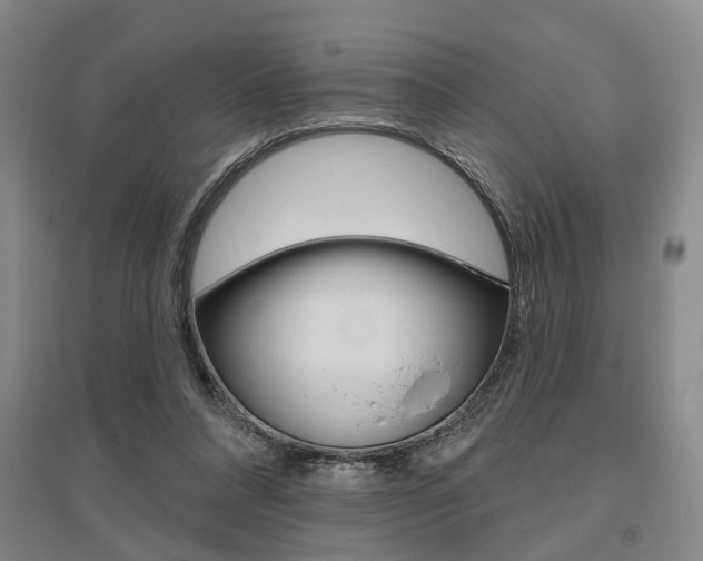 X0000095920304200801110901