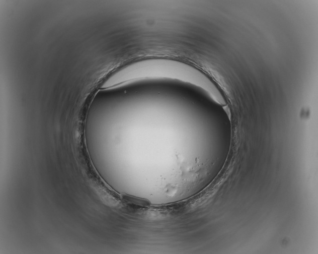 X0000095920305200801110901