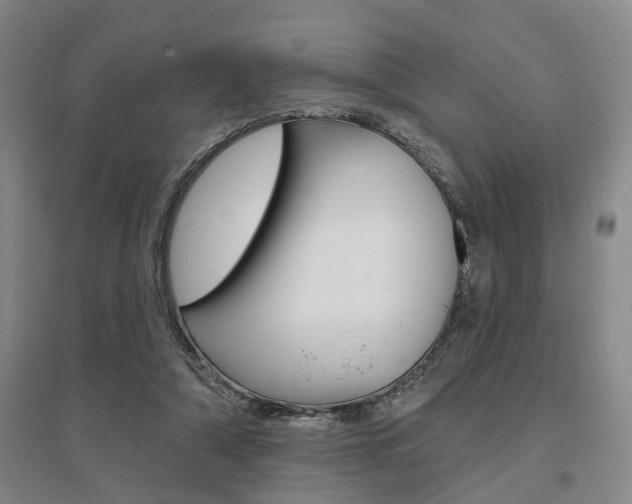 X0000095920306200801110901