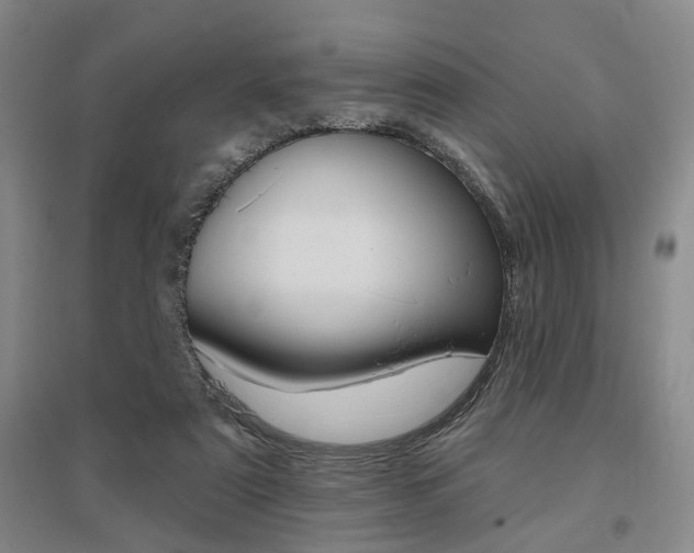 X0000095920307200801110901