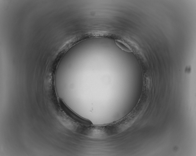 X0000095920308200801110901