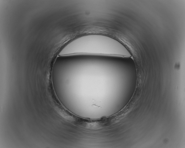 X0000095920309200801110901