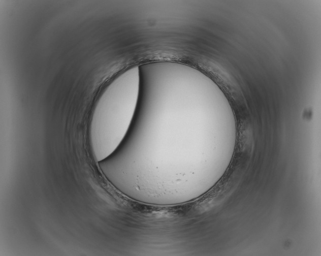 X0000095920310200801110901