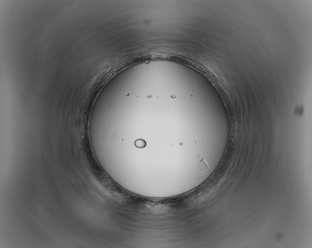 X0000095920311200801110901