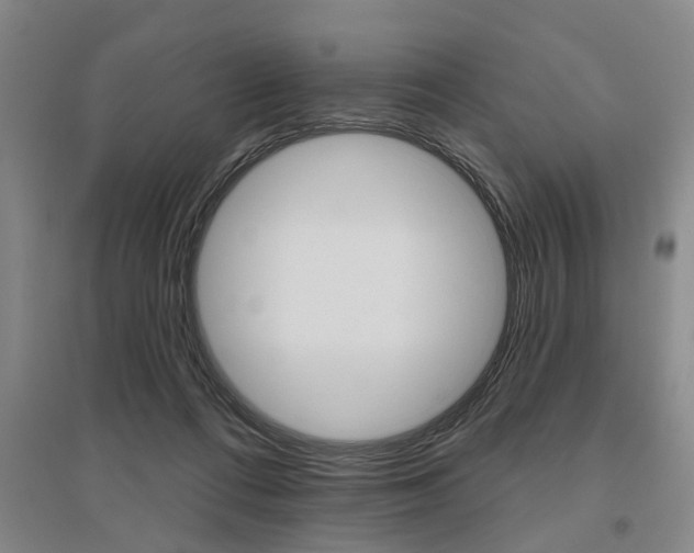 X0000095920312200801110901