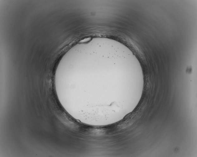 X0000095920313200801110901