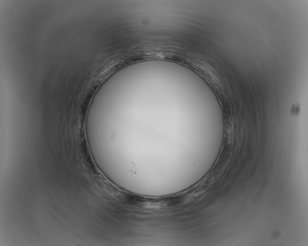 X0000095920314200801110901