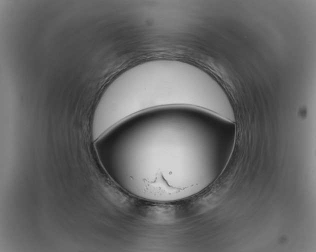 X0000095920317200801110901