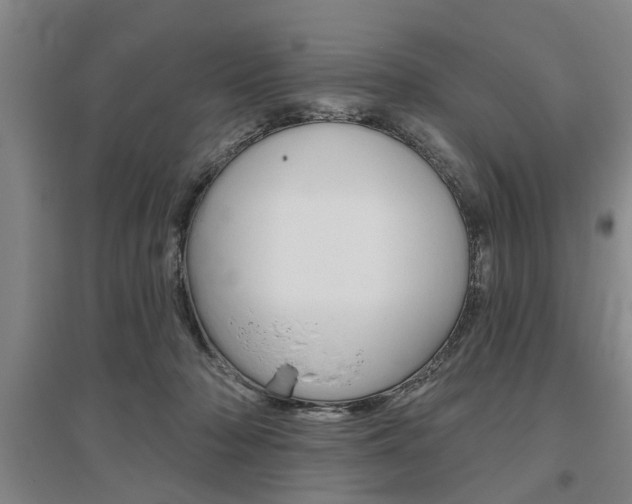X0000095920318200801110901
