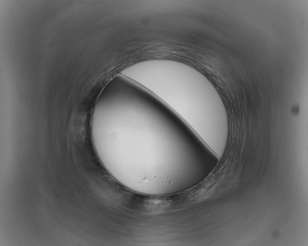 X0000095920319200801110901