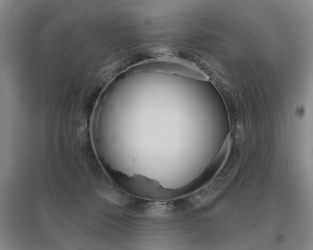 X0000095920320200801110901