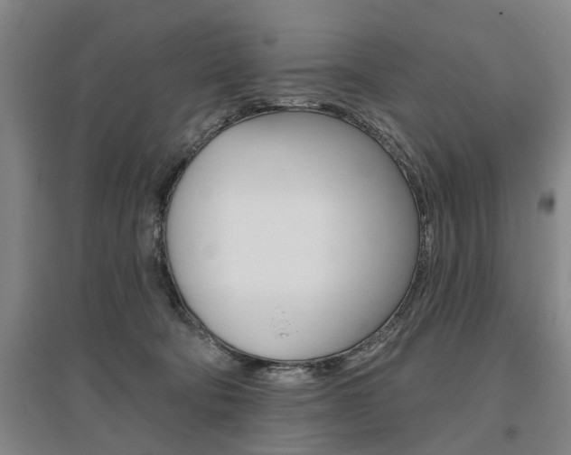 X0000095920322200801110901