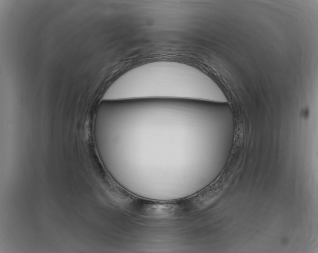 X0000095920323200801110901