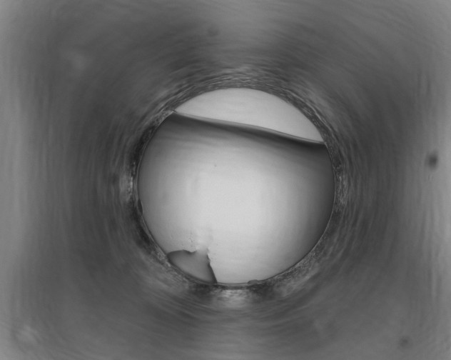 X0000095920324200801110901