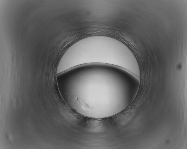 X0000095920325200801110901