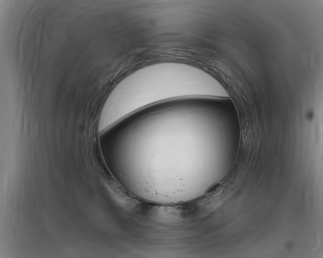 X0000095920327200801110901
