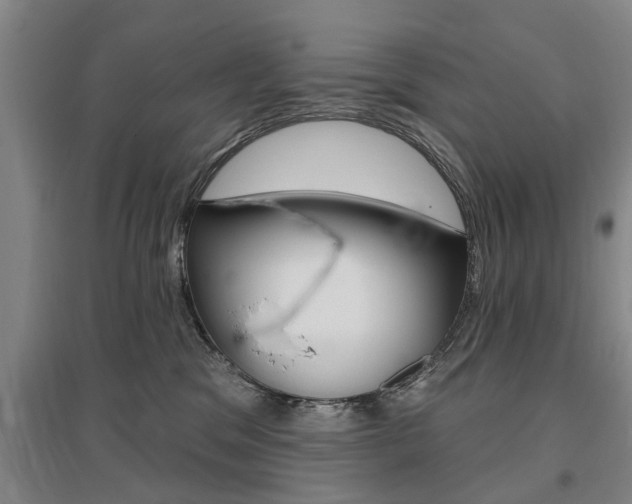 X0000095920329200801110900