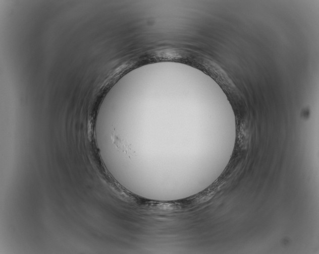 X0000095920330200801110900