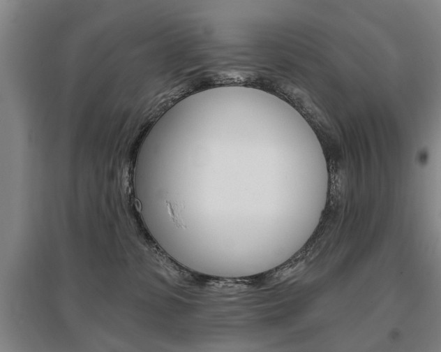 X0000095920331200801110900