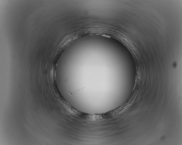 X0000095920333200801110900