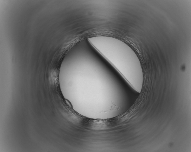 X0000095920335200801110900